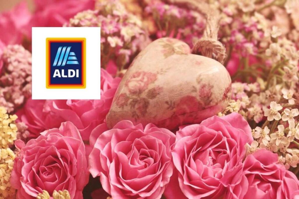 rose rosa cuori e logo di aldi
