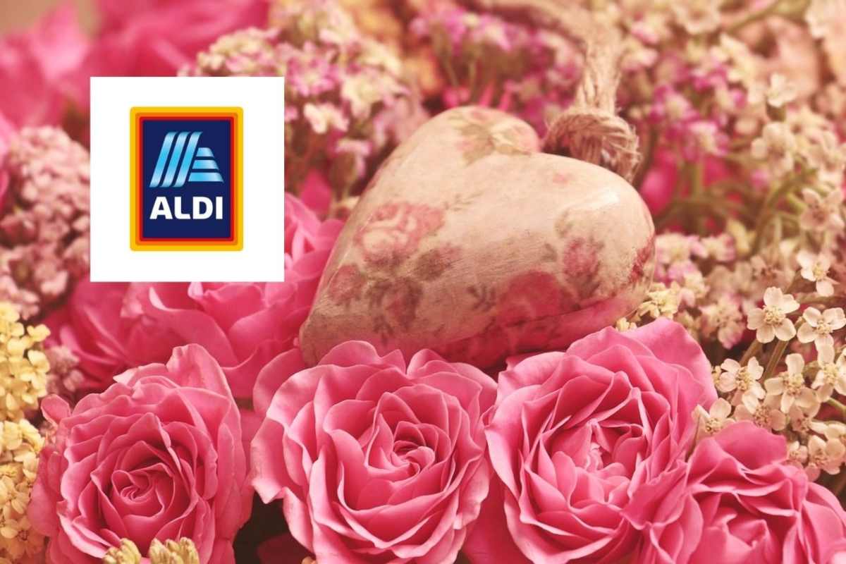 rose rosa cuori e logo di aldi