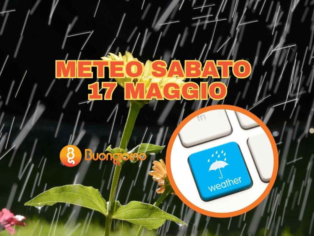 Sullo sfondo un fiore bagnato dalla pioggia, in primo piano il meteo di sabato 17 maggio 2025