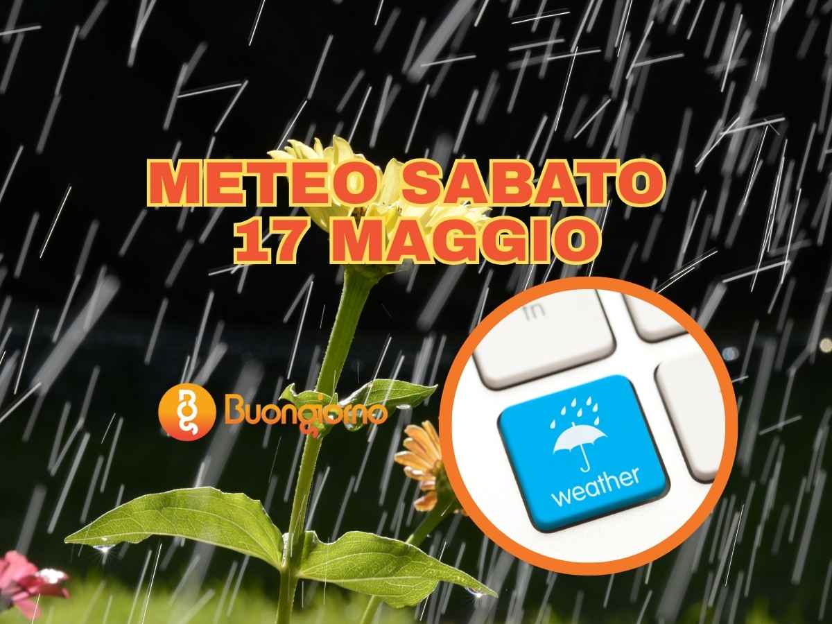 Sullo sfondo un fiore bagnato dalla pioggia, in primo piano il meteo di sabato 17 maggio 2025