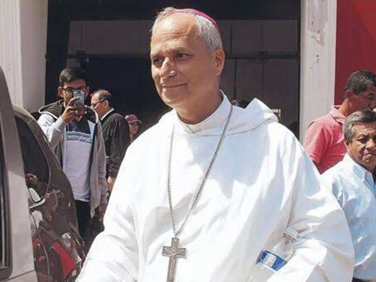 Papa Luigi XIV