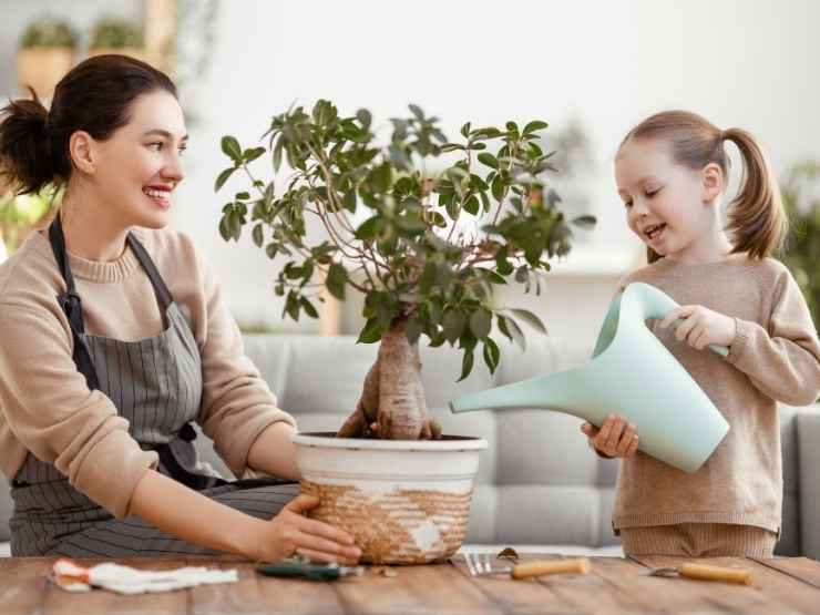 Pianta per Festa della Mamma