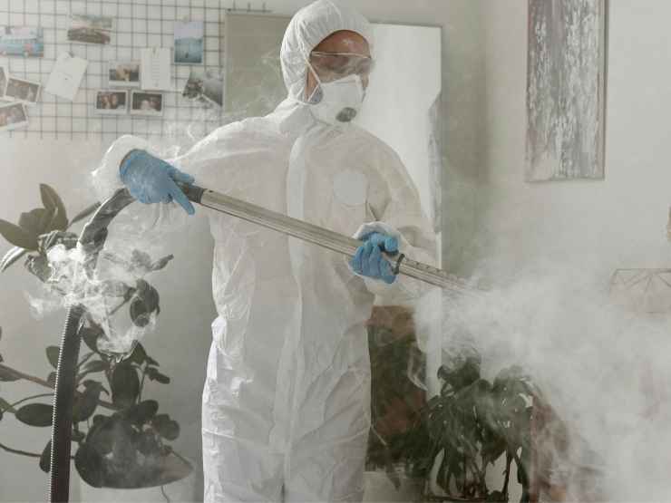 Rischio pandemia aviaria