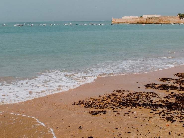 Una spiaggia in estate
