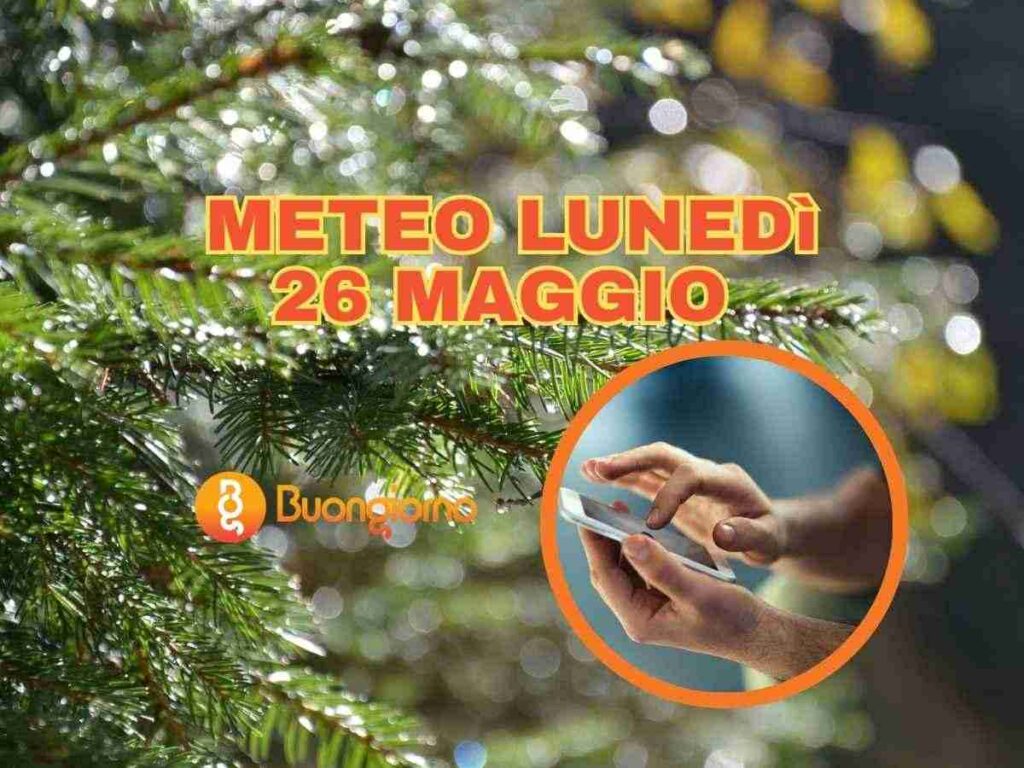 cielo, mani sullo smartphone e albero