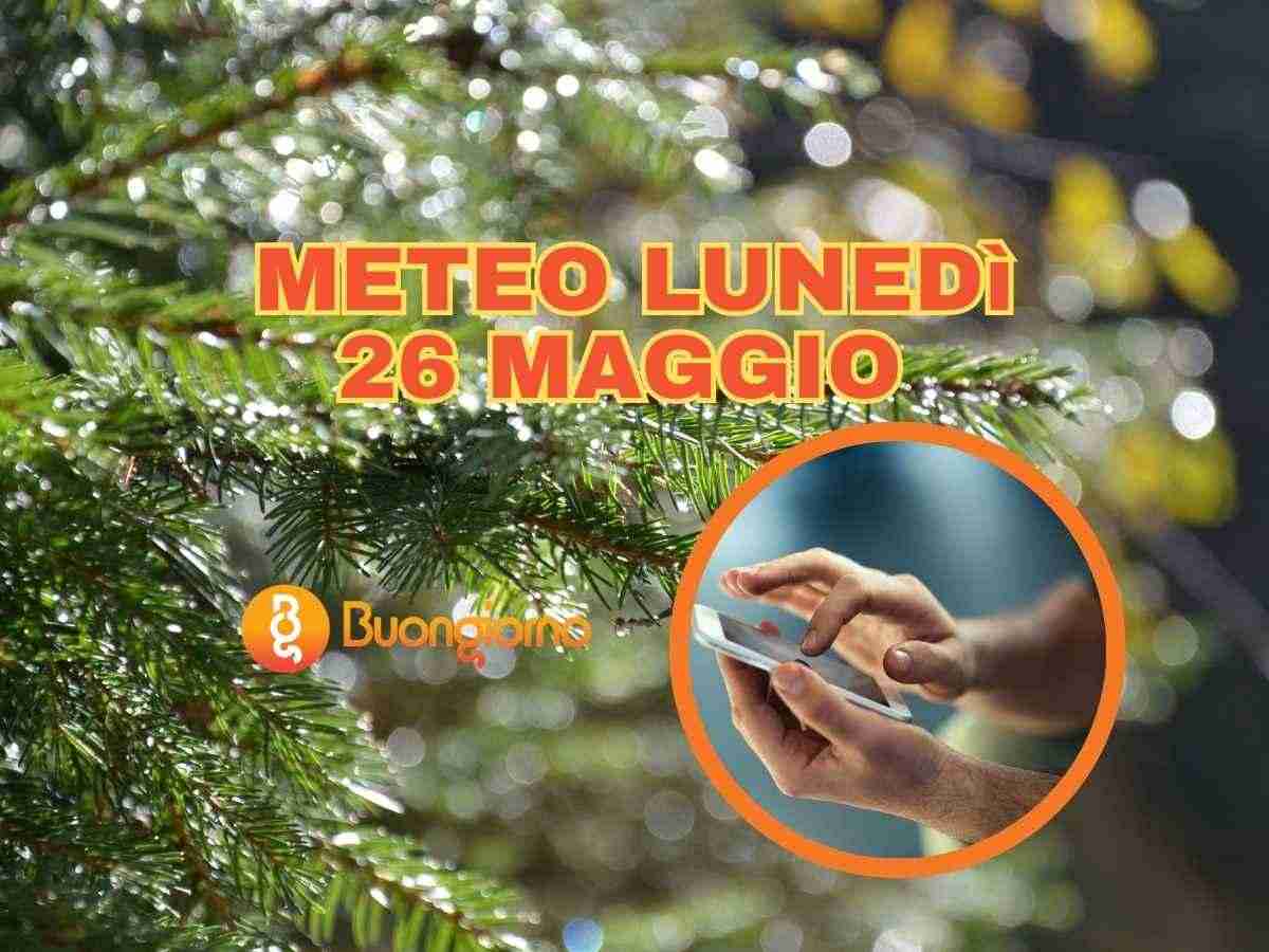 cielo, mani sullo smartphone e albero