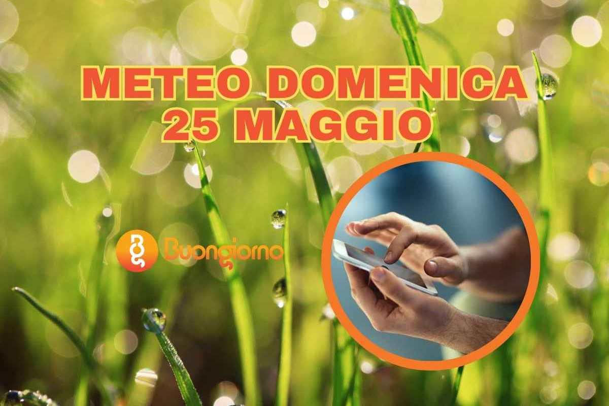 piante e una mano che controlla lo smartphone