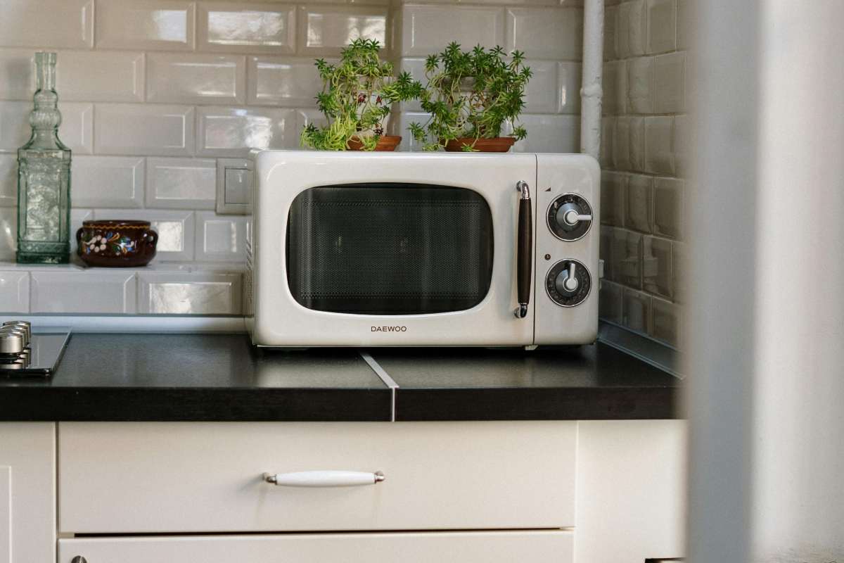forno a microonde sul mobile della cucina con sopra delle piante