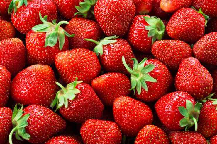 fragole