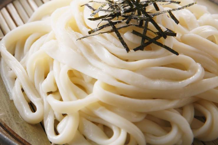 udon