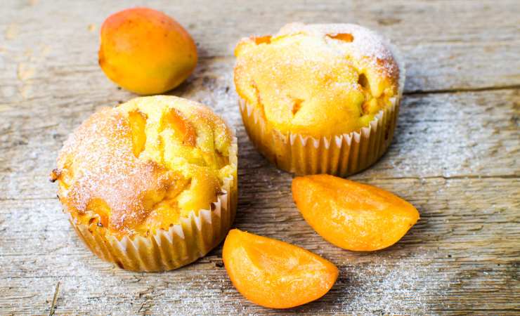muffin all'albicocca su legno