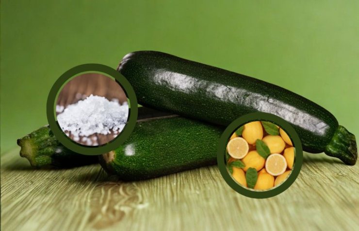 tre zucchine sopra ad un tavolo e nei riquadri sale grosso e limoni