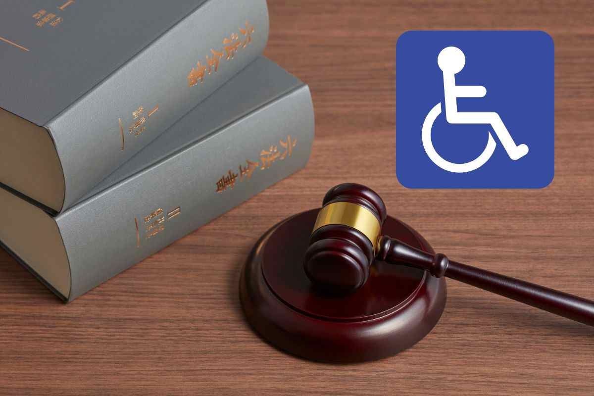 simbolo invalidità libri legge