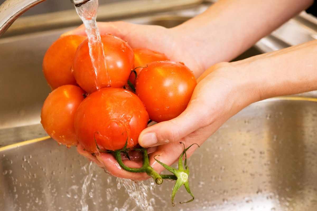 mani che sciacquano pomodori