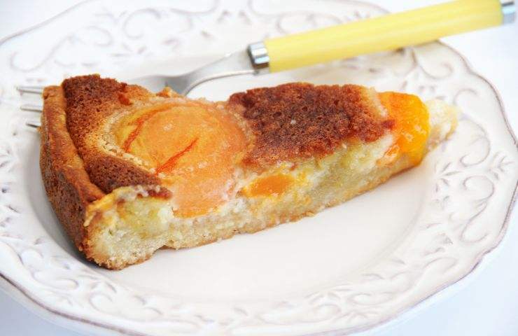 fetta di torta di albicocche