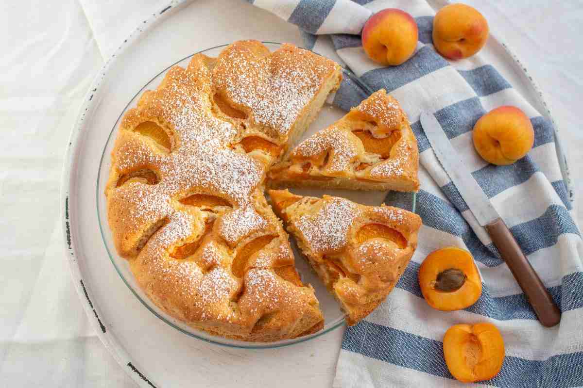 torta di albicocche in piatto