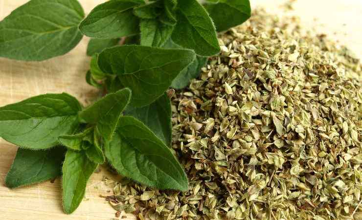 origano essiccato e a foglie