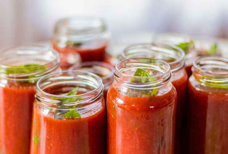 conserve di pomodoro