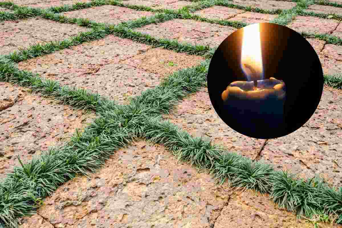 pavimento giardino candela