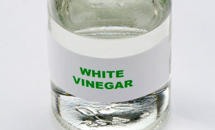 aceto bianco in bottiglia