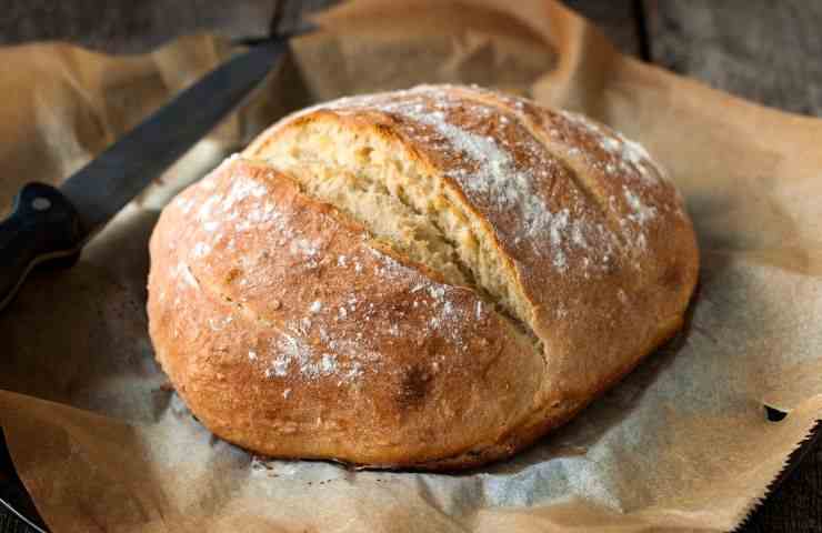 pane con carta forno